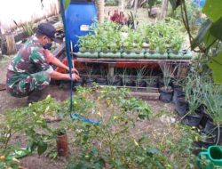 Manfaatkan Lahan Kosong Disekitaran Kantor Babinsa Koramil Manismata Tanami Beraneka Macam Tanaman