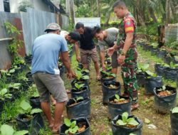 Dukung Hanpangan, Babinsa Karimunting Beri Pelatihan Tanam Sayur Kepada Warga Binaan