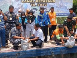 Program Bintahwilmar, Lanal Ketapang Laksanakan Penyuluhan dan Penebaran Benih Ikan Lele