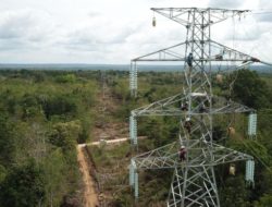 PLN Rampungkan SUTT 150 kV Antar Pulau di Sulawesi dengan TKDN 84,75 Persen*