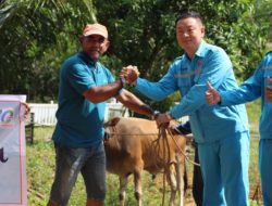 Program CSR WHW Menyalurkan 15 Hewan Kurban Idul Adha Untuk 10 Masjid di Kecamatan Kendawangan