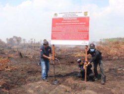 Gakkum KLHK Segel Lokasi Karhutla Pada 4 Perusahaan Di Kalbar,untuk Hentikan Karhutla.