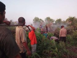 Polsek Pulau Maya Karimata Laksanakan Ground Check Hotspot Karhutla bersama Koramil dan Brigade KPH Kayong Utara di Desa Satai Lestari Ke.Pulau Maya