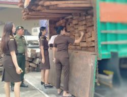 GAKKUM KLHK: TERSANGKA KASUS PEREDARAN KAYU ILEGAL DI KABUPATEN SIDRAP PROVINSI SULAWESI SELATAN SIAP DISIDANGKAN