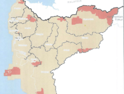 Izin WPR Terkendala, Pemkab Ketapang Belum Sampaikan Dokumen Pengelolaan WPR