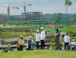 Masyarakat Tanam Pohon Bersama Presiden Jokowi di IKN