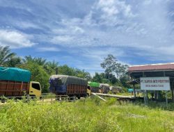 Rotan Ilegal Tertangkap di Ketapang, Pemilik Diduga Pengusaha Inisial D